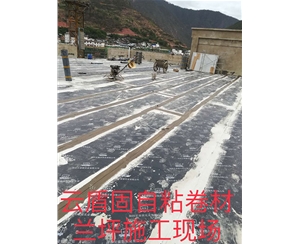 濕鋪自粘卷材施工案例